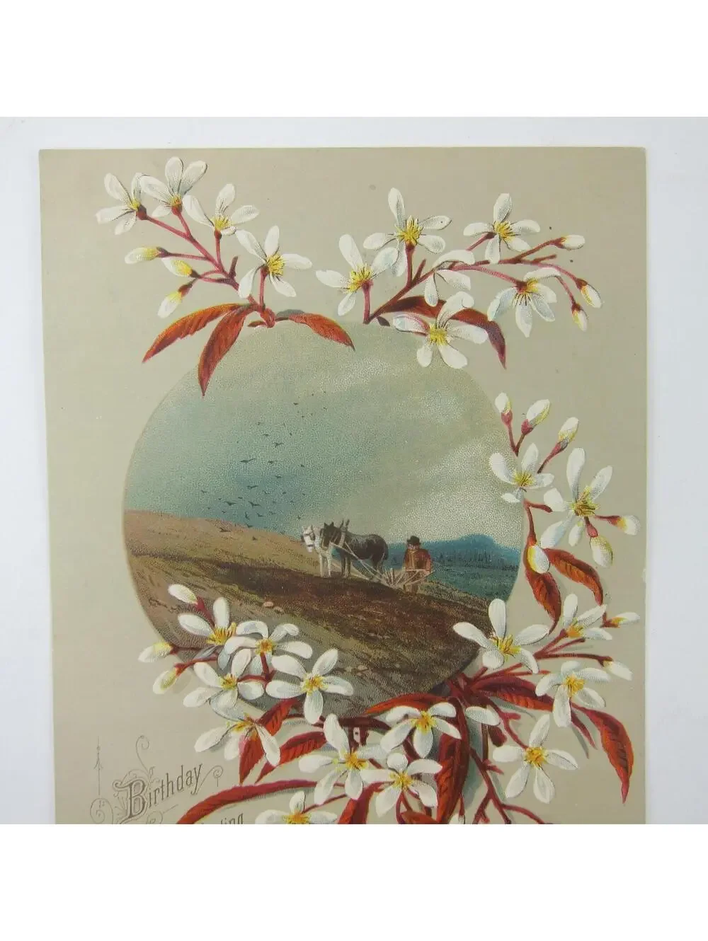 Victorian Birthday Greeting Card Farmer Plow Horses White Flower Blossom Antique